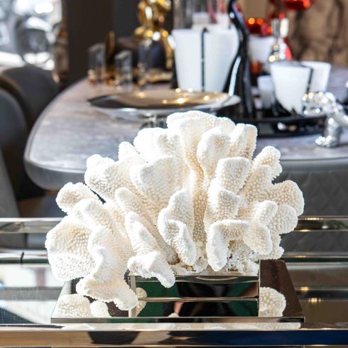 Corallo Bianco Corallo Bianco incastonato su base in ottone nichelato.